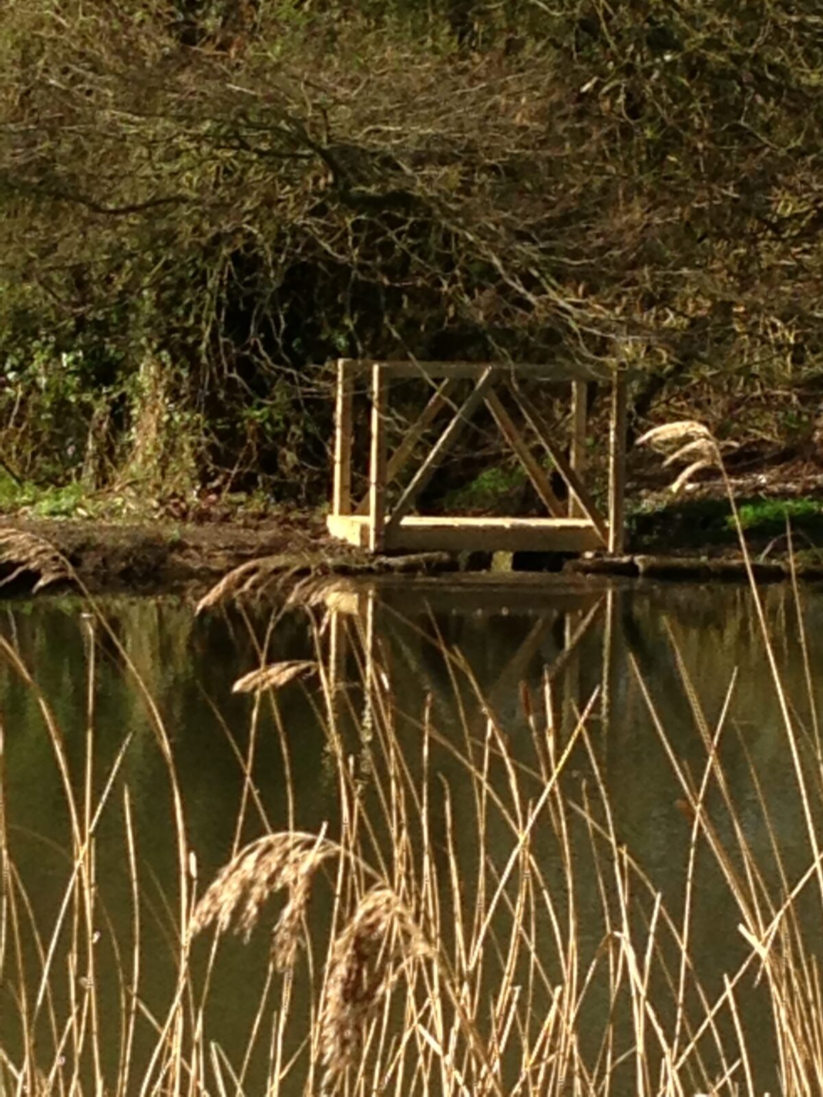 Read more about the article Wooden Garden Bridge
